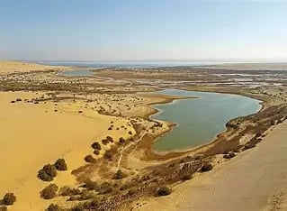 Fayoum Tour - Thumbnail 3