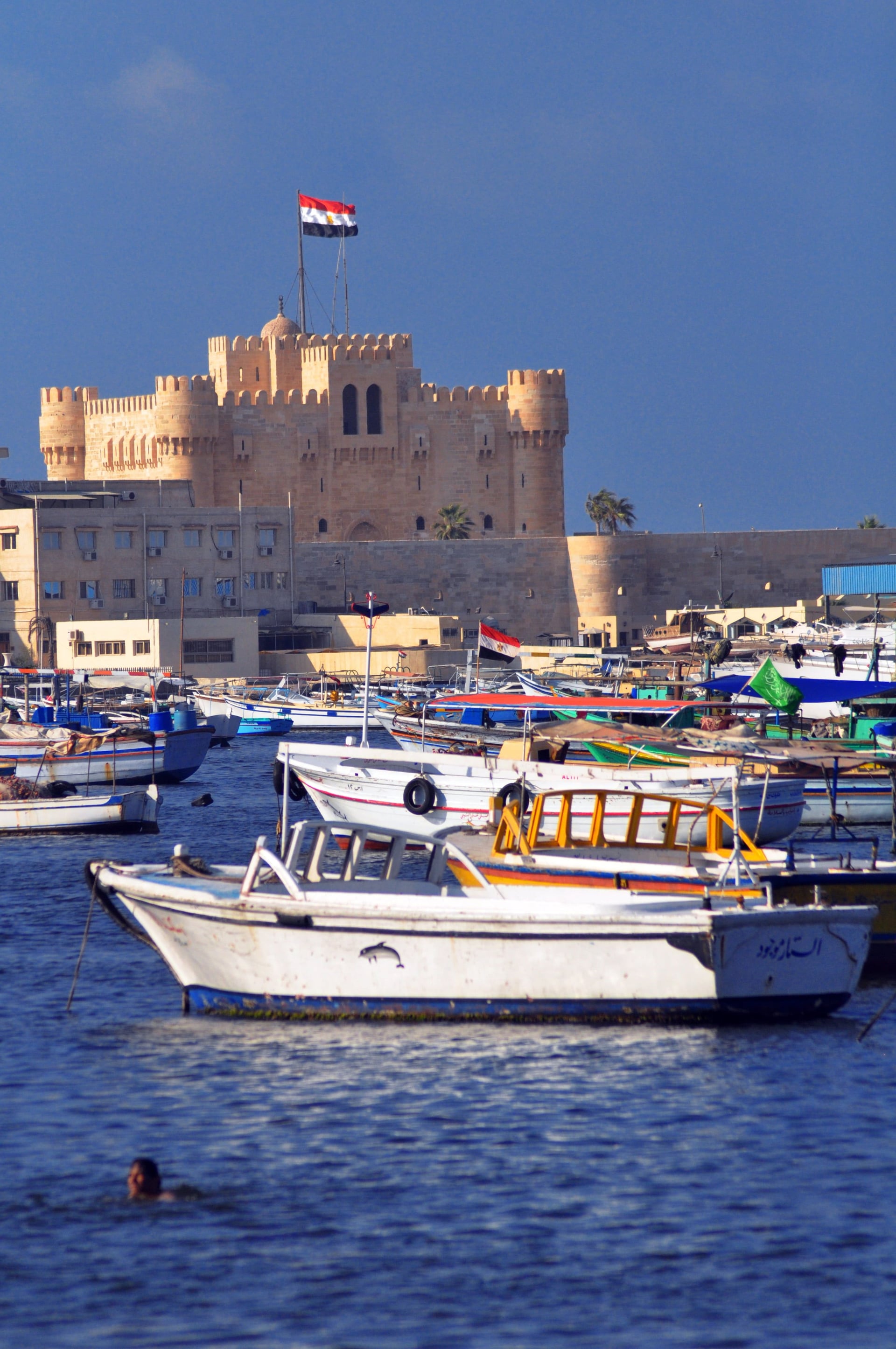 Alexandria Tour - Thumbnail 2