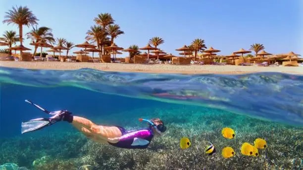 Sharm El Sheikh Snorkeling