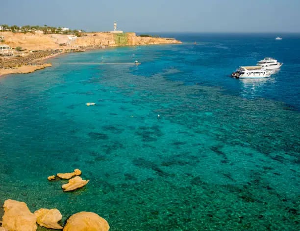 Sharm El Sheikh Snorkeling - Thumbnail 4
