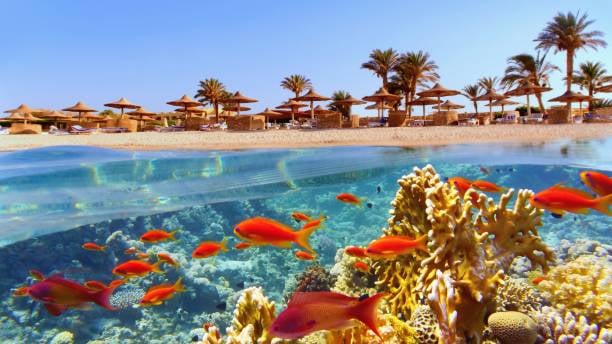 hurghada bedouin desert safari - Thumbnail 4