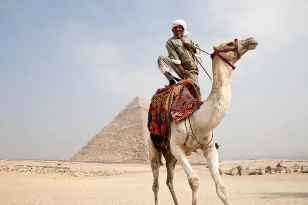 Camel Ride at the Giza Pyramids | Explore Egypt's Timeless Desert - Thumbnail 4
