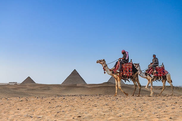 Cairo Airport Layover Tour | Private Transit Tour to the Pyramids & Cairo