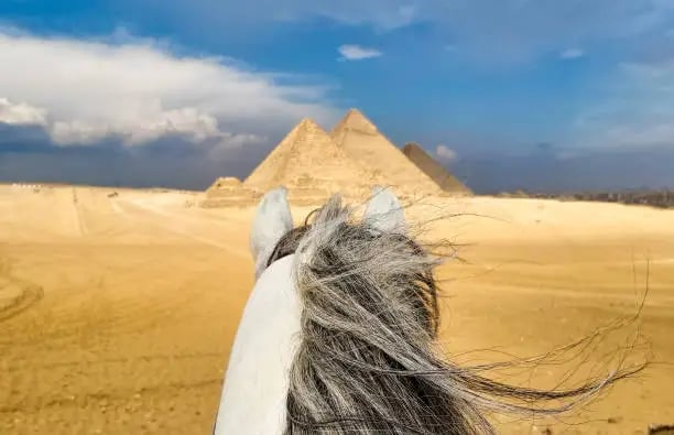 Horse Riding Adventure at the Giza Pyramids | Ride Through Egypt's Desert - Thumbnail 4