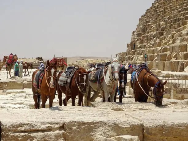 Horse Riding Adventure at the Giza Pyramids | Ride Through Egypt's Desert - Thumbnail 3