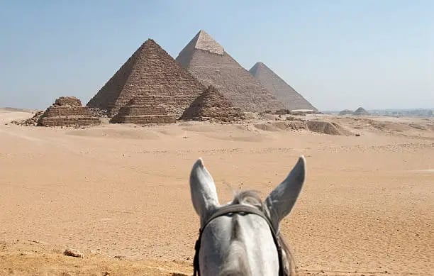 Horse Riding Adventure at the Giza Pyramids | Ride Through Egypt's Desert - Thumbnail 2