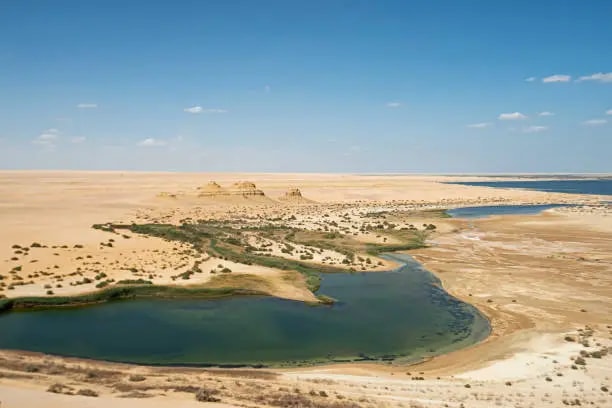 Cairo Airport to Fayoum Oasis Day Tour | Wadi El Hitan & Magic Lake