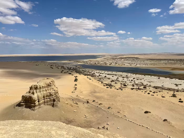 Alexandria to Fayoum Tour | Oasis of Nature & History